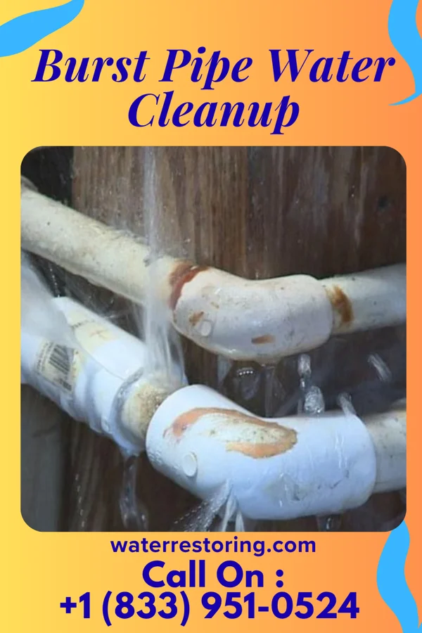 Burst Pipe Water Cleanup in Cherry Hill Mall, NJ