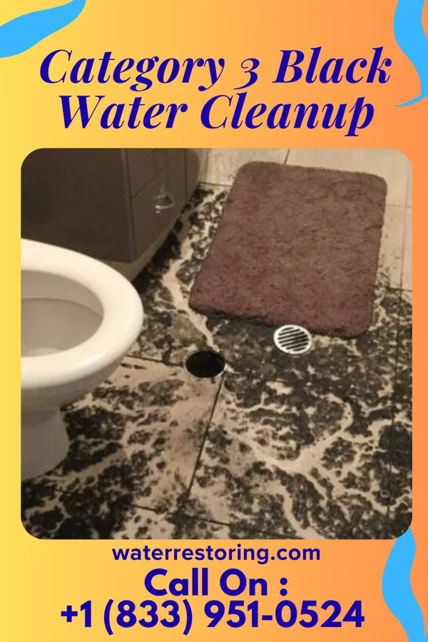 Category 3 Black Water Cleanup in Cherry Hill Mall, NJ