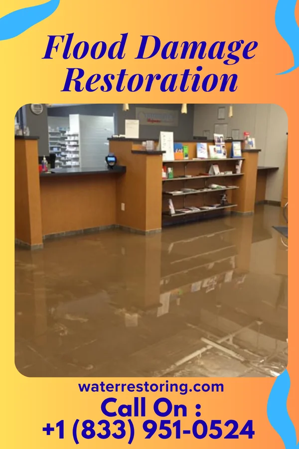 Flood Damage Restoration in Cherry Hill Mall, NJ