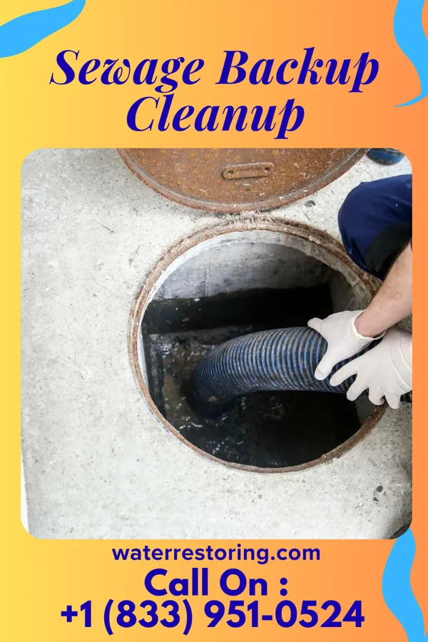 Sewage Backup Cleanup in Cherry Hill Mall, NJ